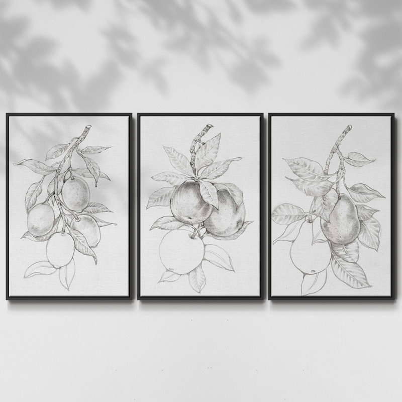 Ensemble de 3 pièces encadrées sur toile FruitBearing Branch I, H 36 po x l 72 po, Cadre noir
