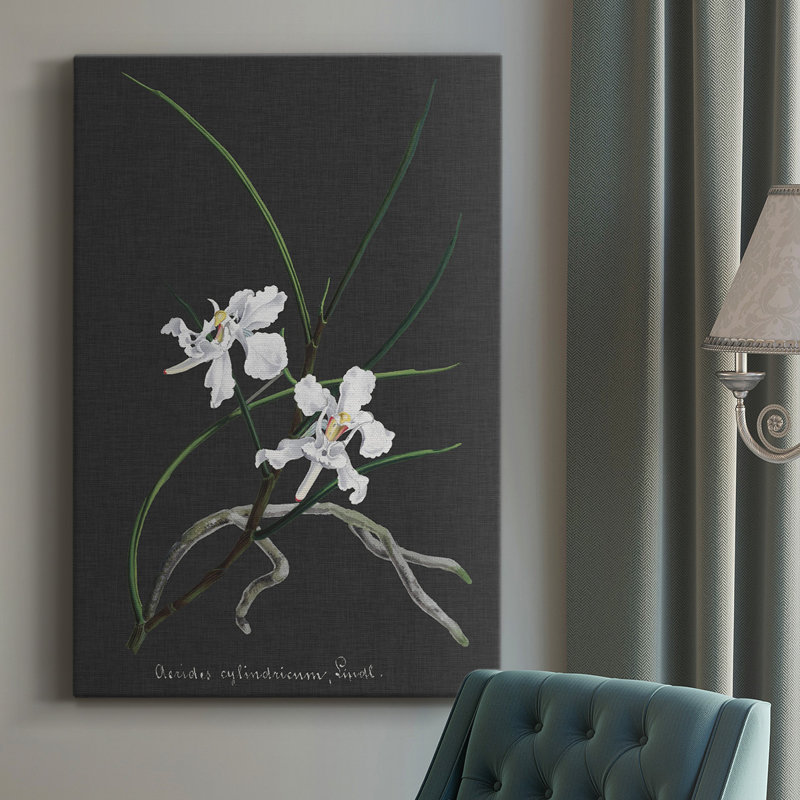 Orchidée sur ardoise II - impression sur toile tendue, H 36 po x l 24 po x P 1,5 po