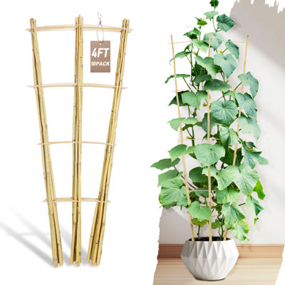Paquet de 10 treillis en bambou naturel de 4 pi pour plantes grimpantes