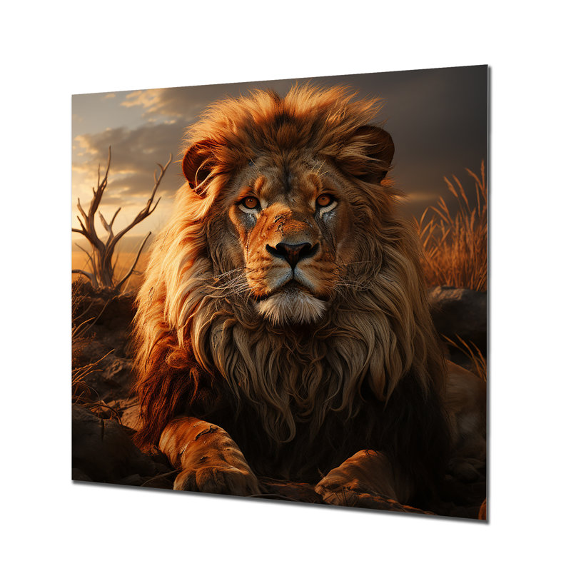 Golden Lion royal, portrait africain III - décoration murale animal lion, H 36 po x l 36 po