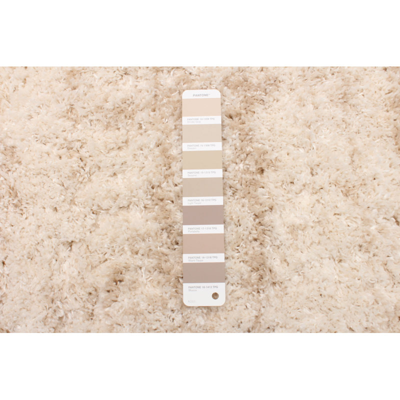 Tapis crème Barrs, Rectangle 3 pi 11 po x 5 pi 7 po