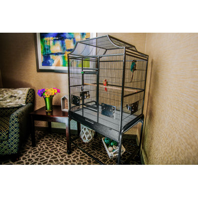 32 X 21 Victorian Top Floor Bird Cage Green by A&E