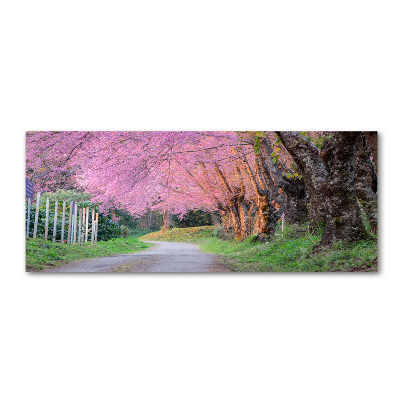 Cherry Blossoms - Wrapped Canvas Print
