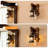 9 Inch  Lantern Wall Sconce