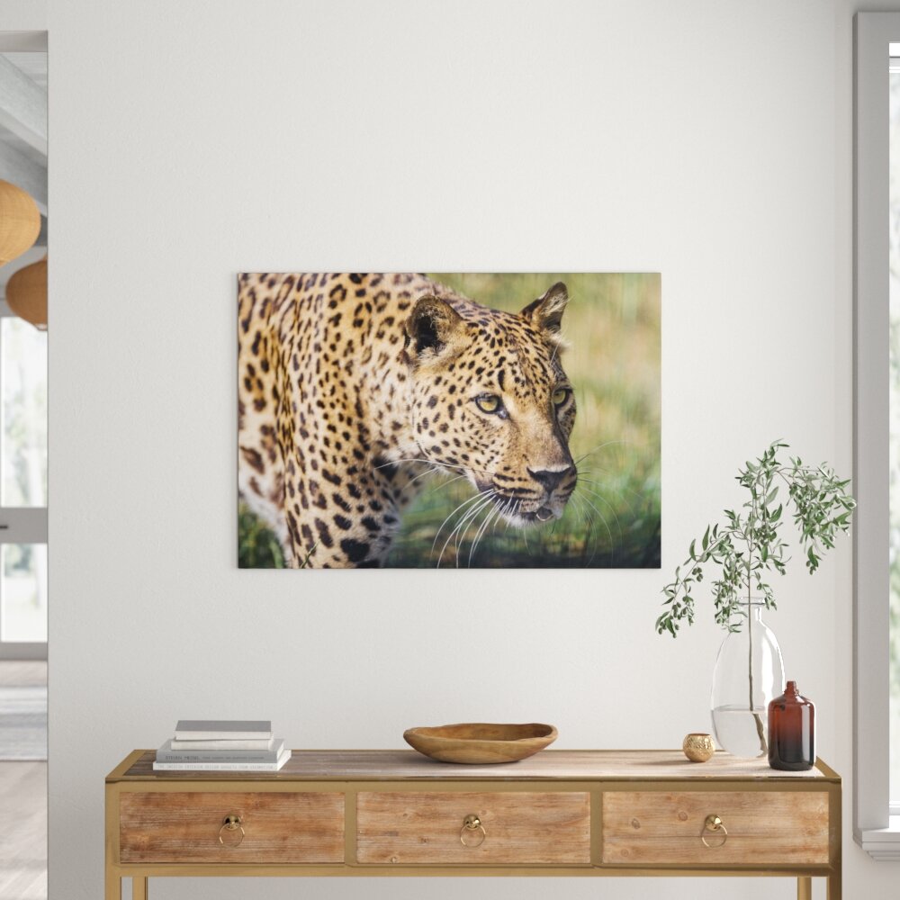 Leinwandbild Schleichender Leopard