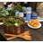 World Menagerie Kalmar Wood Salad Bowl-282706365