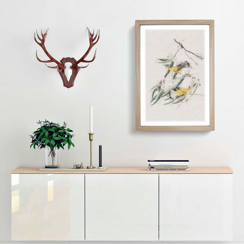 Prothonotary Warbler Birds by John Audubon - Picture Frame Painting Print, 36cm H x 27cm W x 2cm D, Oak Framed