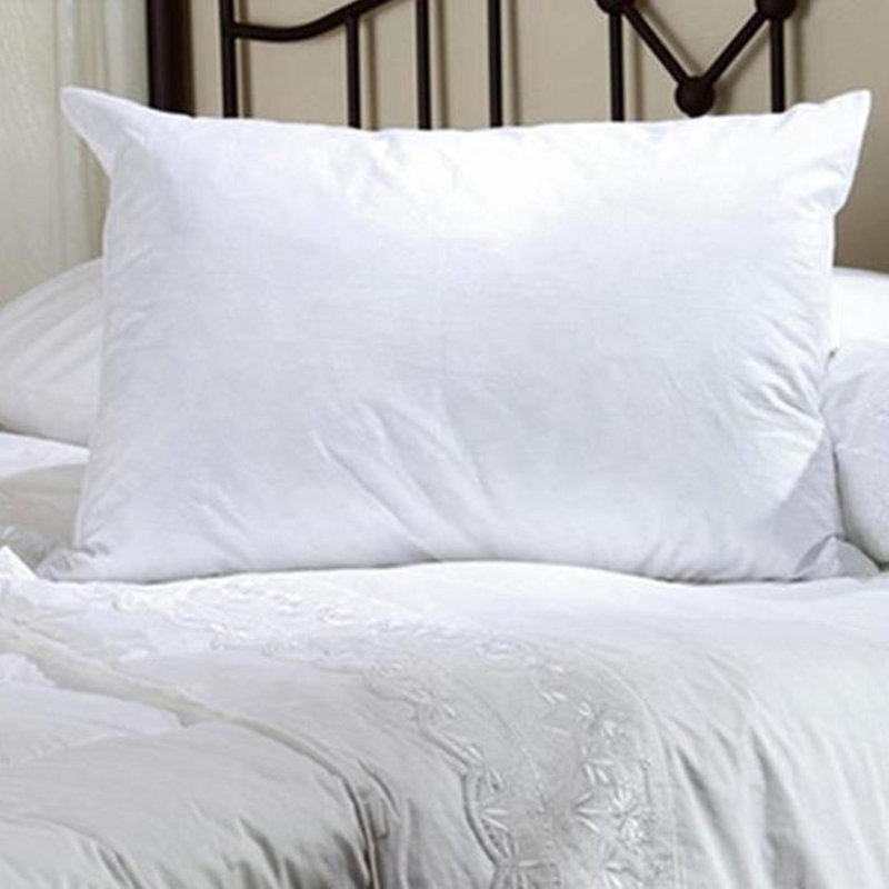 Coussin Leoniida, Standard