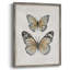 «Vintage Butterflies I», reproduction encadrée - bois massif-969434534