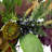 Faux Sunflower 24'' Wreath