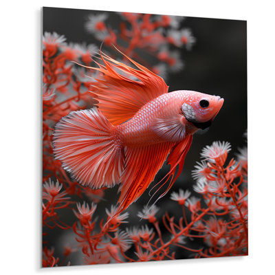 Monochromes rouges et gris - aquariums, reproduction d'art mural