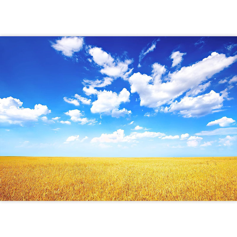 Peel & Stick Clear Border, 100" L x 144" W