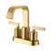 Dayani Centerset 2-handle Bathroom Faucet with Drain Assembly
