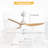 Ladedra 52'' 3-Blade Modern Ceiling Fan With LED Light and Remote Control-1998015919
