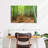 Alvord Iconic Kyoto Bamboo Forest-111983940
