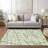  Chayden Area Rug with Non-Slip Backing-1746431649