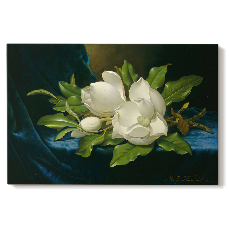 Magnolias on Blue Velvet Cloth-Martin Johnson Heade-Gallery Wrapped Canvas-c. 1890, 40 x 60