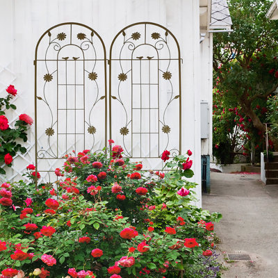 Versatile Rustproof Metal Trellis For Outdoor Plants, Enhancing Garden Beauty