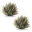 Icy Pine Half Orb with Pinecones (Set of 2)