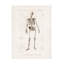 Art sur toile par Charles Dessalines-105645760