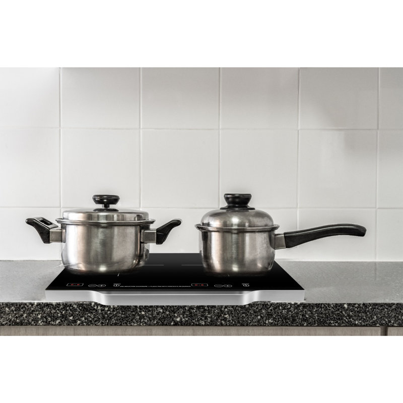 Equator 21" Portable 2-Burner Induction Cooktop LIGHT with ALUMINUM HANDLE 110V