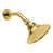 Unlacquered Polished Brass