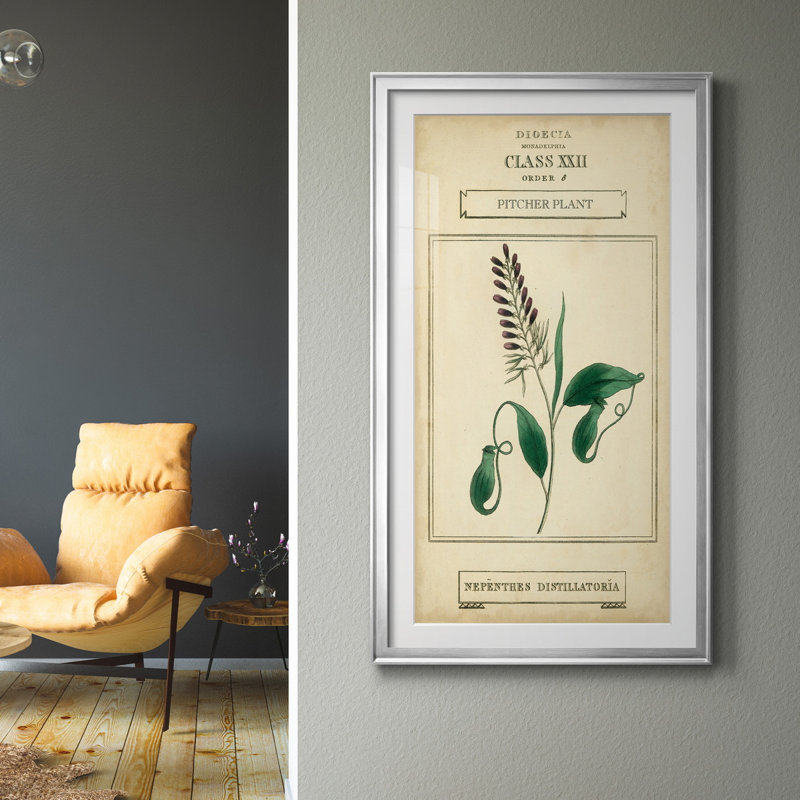 Linnaean Botany II - peinture encadrée, Argent, H 14,5 po x l 26,5 po x P 1,5 po