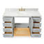 ARIEL TAYLOR 61 IN RECTANGLE SINK VANITY-1977495147-2010219649