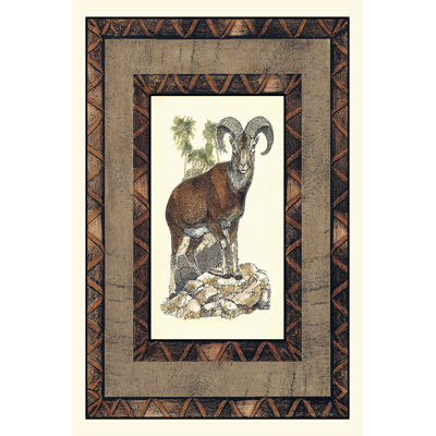 Rustic Big Horn - Wrapped Canvas Painting