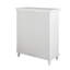 Noires 2-Door Freestanding Accent Cabinet with Glass Doors