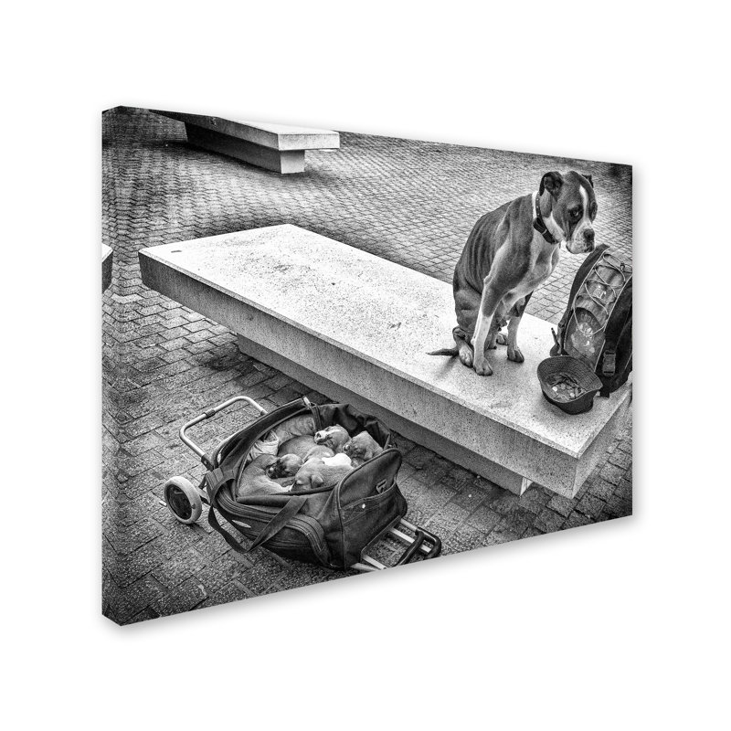 « family provider », reproduction de photo sur toile tendue, H 35 po x l 47 po