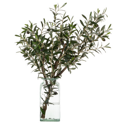 Olive Branch In Glass Vase Green