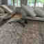 Customer photo 3 of 3