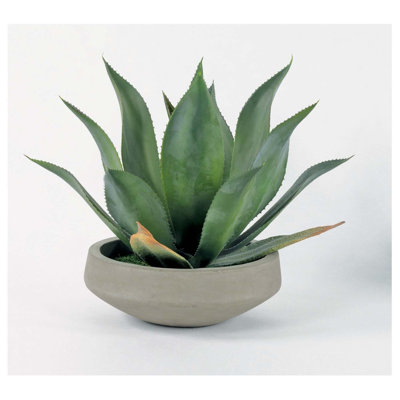 Faux agave dans un bol en béton