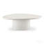Table basse Modern Freeform Shape