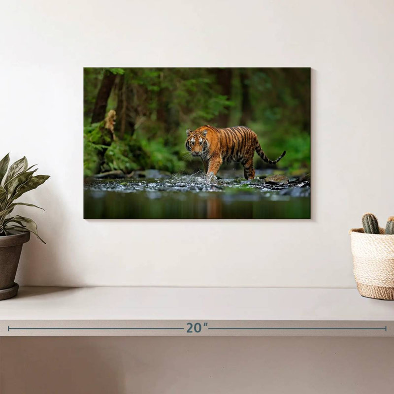 Tigre de Brampt dans la rivière, H 8 po x l 12 po