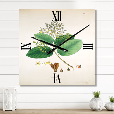 Horloge murale Botanicals III