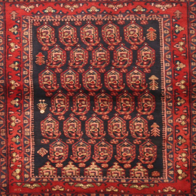 Southwestern Indoor Rug