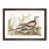 Walnut Framed