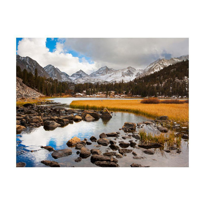 Damonie, ruisseau de montagne, paysage mural, L 90 po x l 118 po
