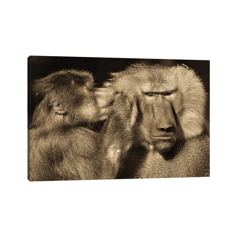 Talk by Goran Anastasovski - Wrapped Canvas Print, 20.32 cm H x 30.48 cm W