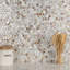 Conchella 11-1/2" x 11-5/8" Natural Shell Mosaic Wall Tile