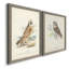 Toile encadrée de qualité supérieure Hawk Owl - prête à être accrochée-1109121184-1109121192