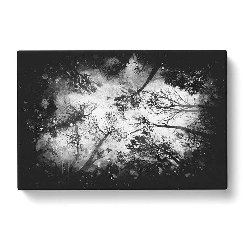 Vaulted Tree Branches - Wrapped Canvas Print, 35cm H x 50cm W x 3cm D, Grey/Black