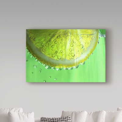 Faulkwoods «Lemon Slice», reproduction d'impression sur toile tendue