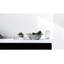 Bone Decorative Bowl