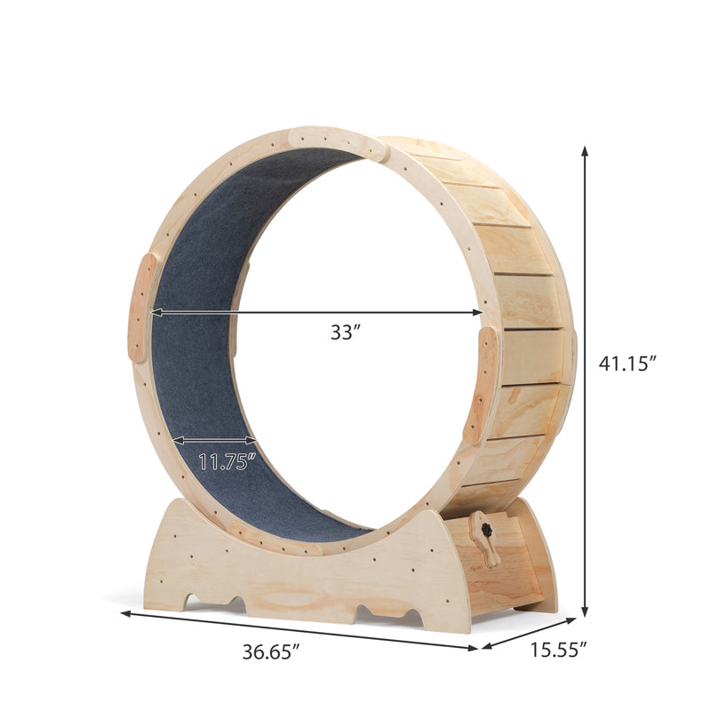 Grande roue de course pour chats d'intérieur