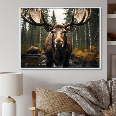 " Brown Yellow Moose Majestic "