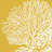Saturated Coral I by Vision Studio - Wrapped Canvas Graphic Art-1782799910