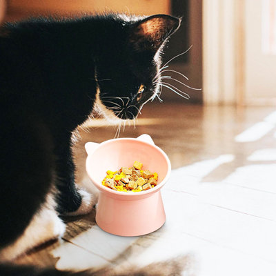 Tilted Cat Food Bowl